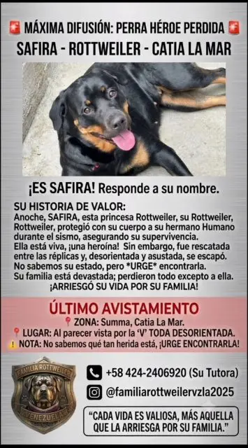 Safira Rottweiler