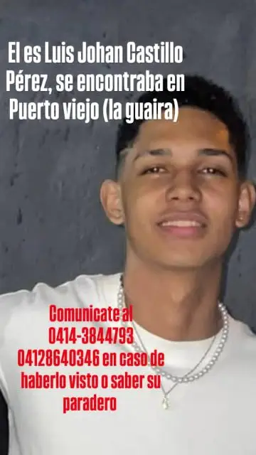 Luis Johan castillo Pérez