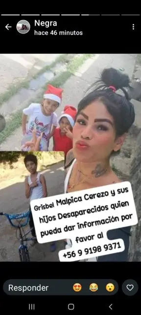 Gribel malpica cerezo