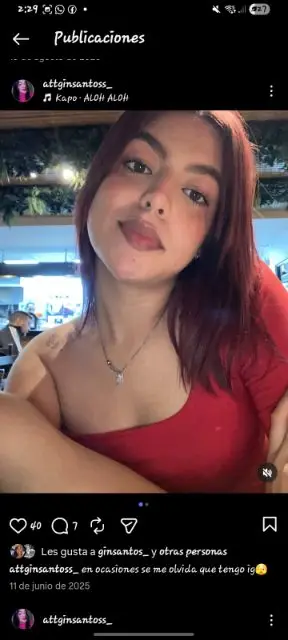 Gin Santos