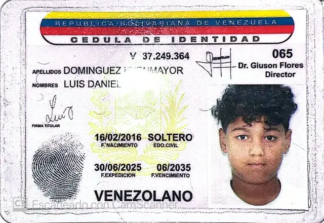 Luis Dominguez