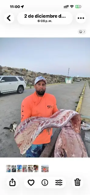 Joan barcenas