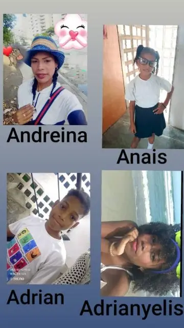 Anais brasfilted