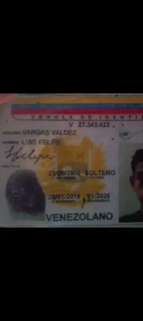 Luis Felipe Vargas Valdez