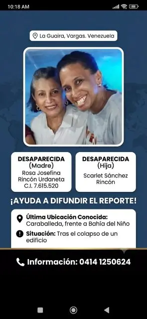 Rosa rincon