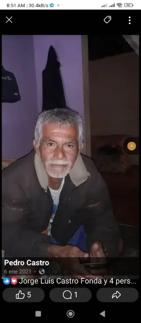 Pedro castro