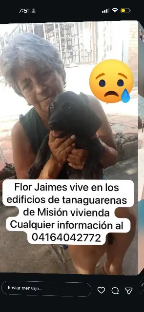 Flor Jaimes