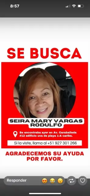 Seira Mary Vargas Rodulfo