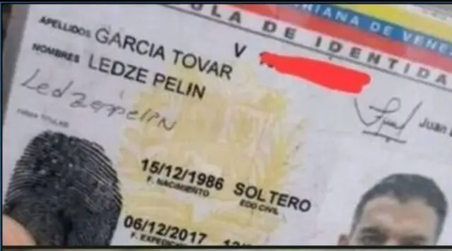 Ledze Pelin