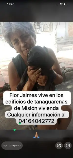 Flor Jaime