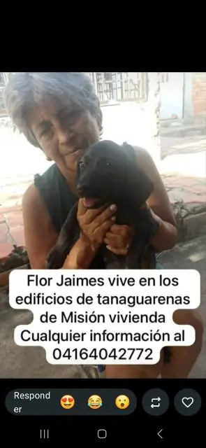 Flor jaime