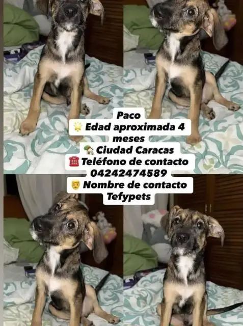 TRUSTEDF57 - infinityhotel.it
